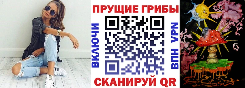 Галлюциногенные грибы Magic Shrooms  Красный Кут 